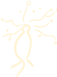 活動